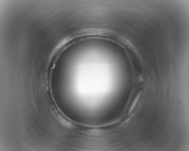 X0000082161172200701262326