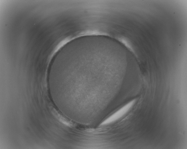 X0000082161173200701262326