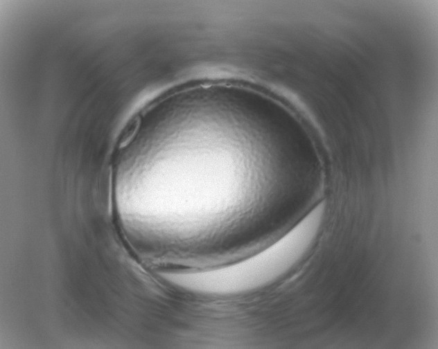 X0000082161175200701262326