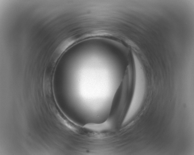 X0000082161177200701262326