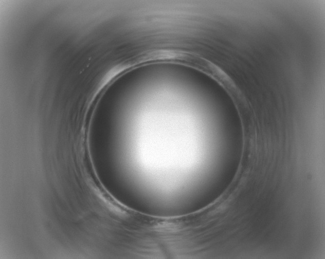 X0000082161178200701262326