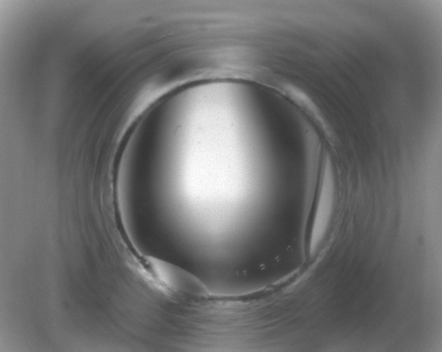 X0000082161184200701262326