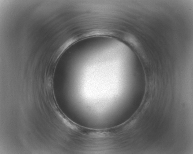 X0000082161185200701262326
