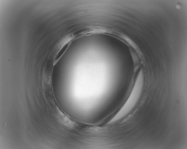 X0000082161193200701262326