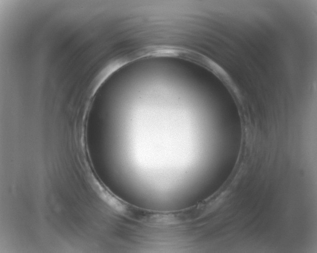 X0000082161194200701262326