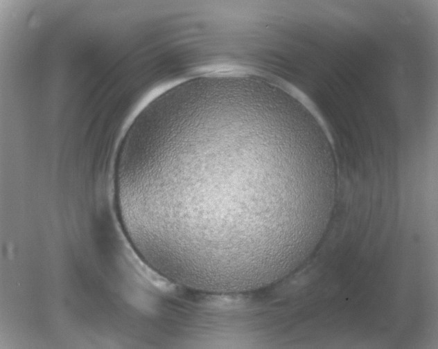 X0000082161195200701262326
