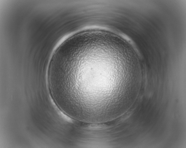 X0000082161199200701262326