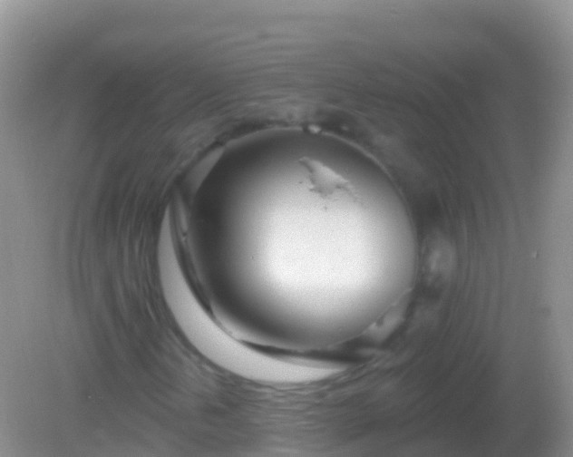 X0000082161202200701262325