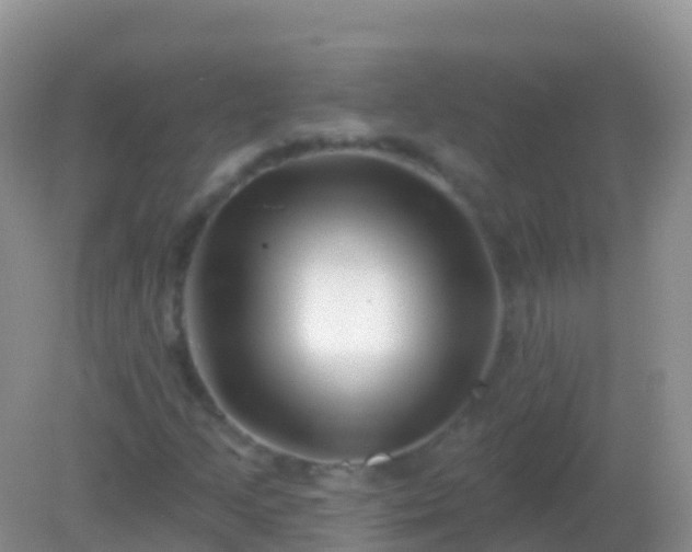 X0000082161205200701262325