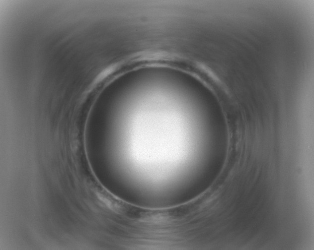 X0000082161213200701262325