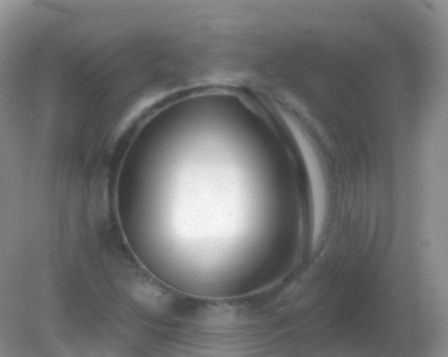 X0000082161214200701262325