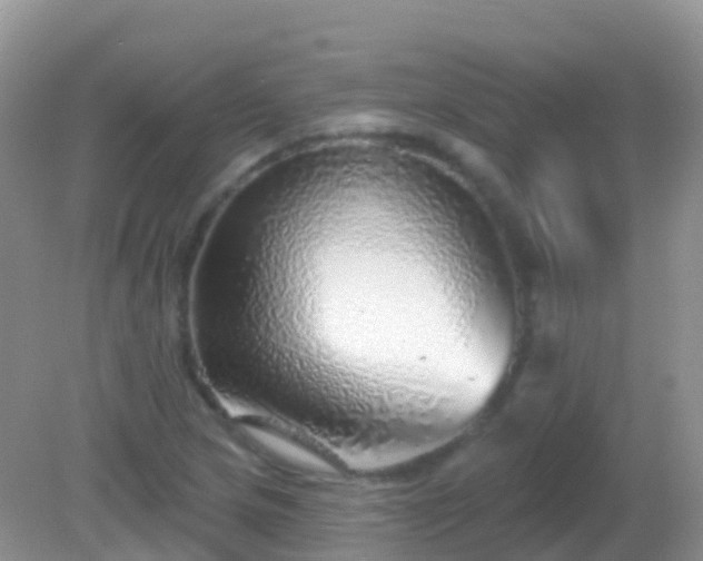 X0000082161217200701262325