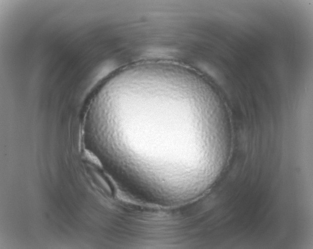 X0000082161219200701262325