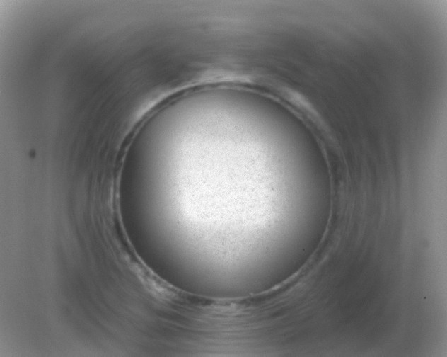 X0000082161220200701262325