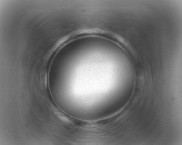 X0000082161221200701262325