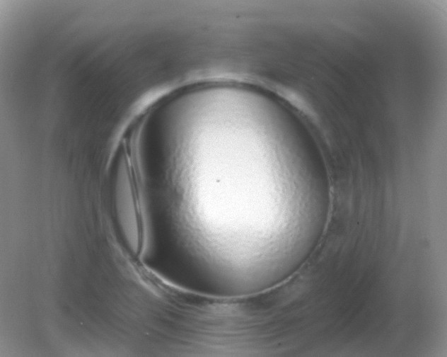 X0000082161223200701262325