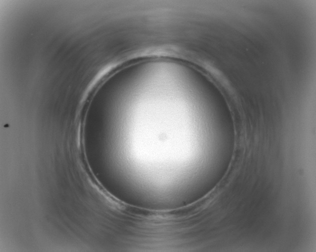 X0000082161224200701262326