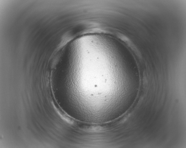 X0000082161233200701262326