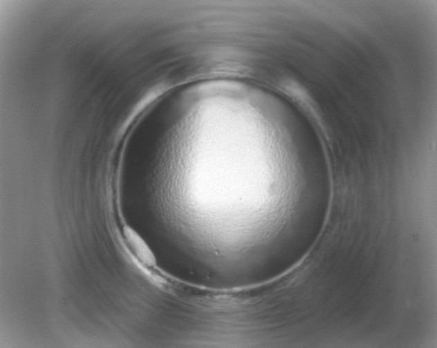 X0000082161235200701262326