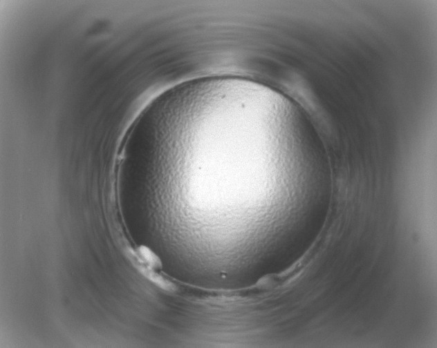 X0000082161236200701262326