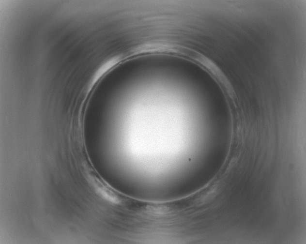 X0000082161242200701262326