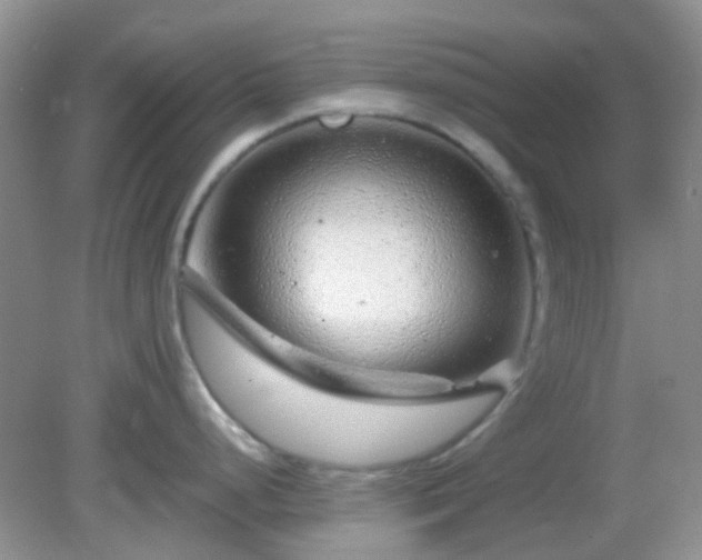 X0000082161248200701262326