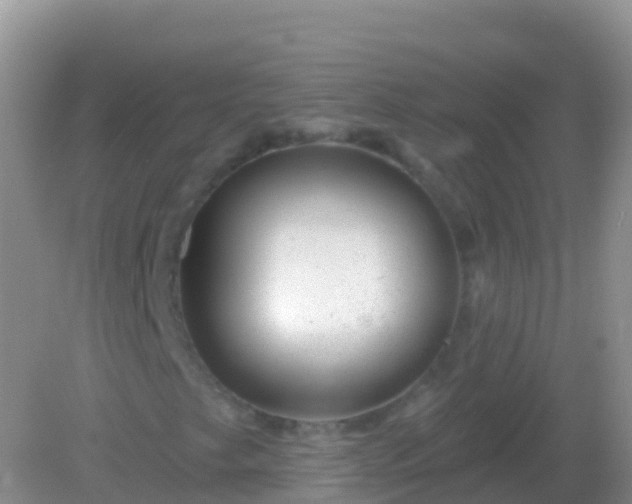X0000082161249200701262325