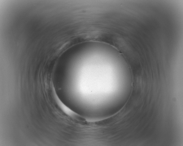X0000082161250200701262325