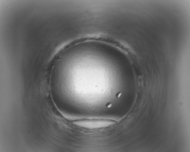 X0000082161256200701262325