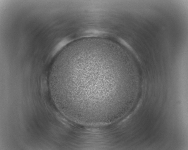 X0000082161259200701262325