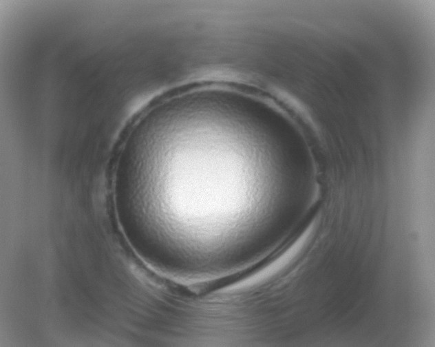 X0000082161264200701262325
