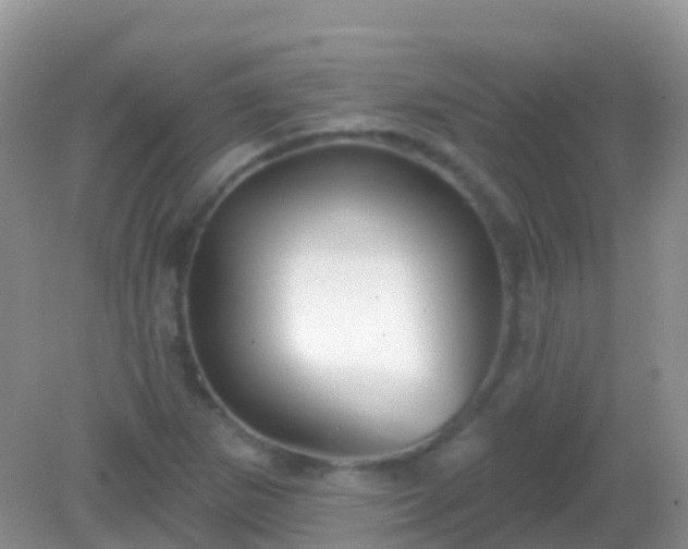 X0000082161265200701262325