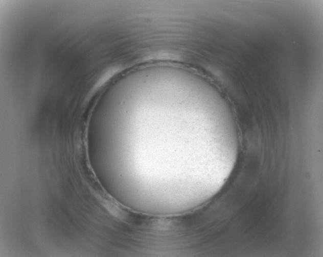 X0000082161266200701262325