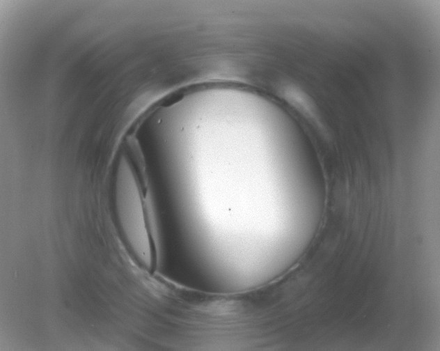 X0000082161268200701262325