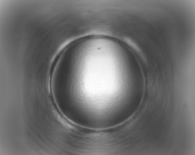 X0000082161272200701262325