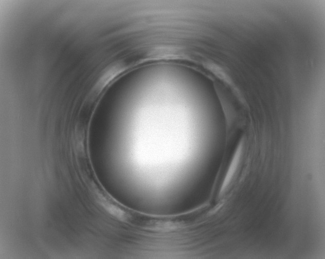 X0000082161273200701262325