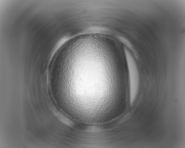 X0000082161275200701262325