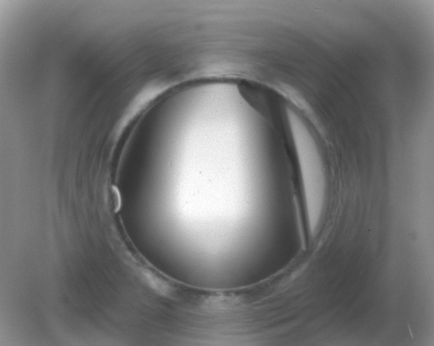 X0000082161277200701262325