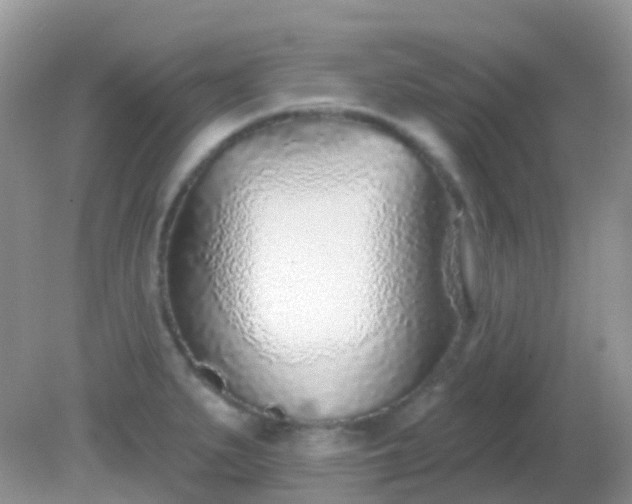 X0000082161279200701262325