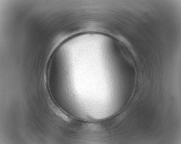 X0000082161280200701262325