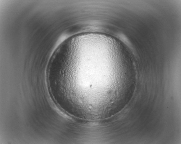 X0000082161283200701262325