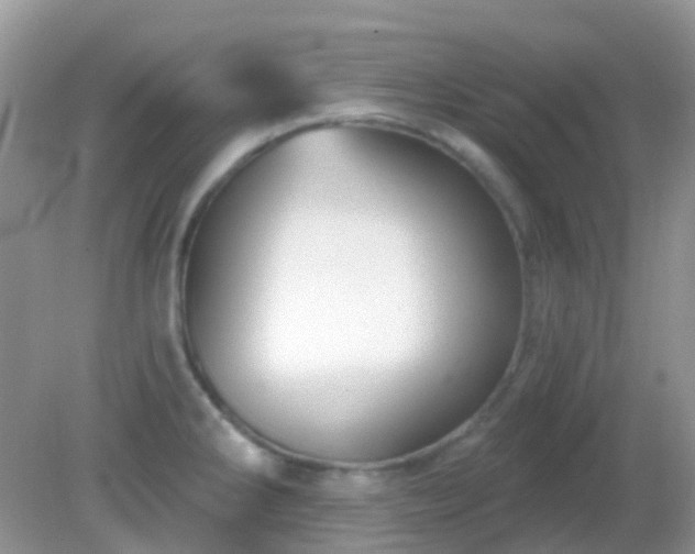 X0000082161286200701262324