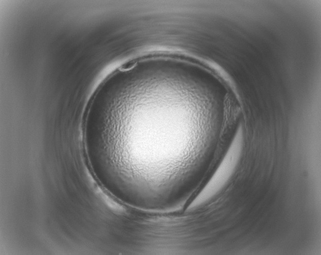 X0000082161287200701262324