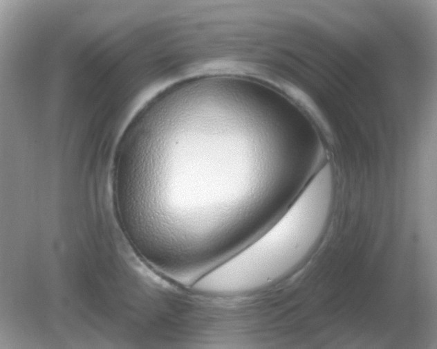 X0000082161288200701262324