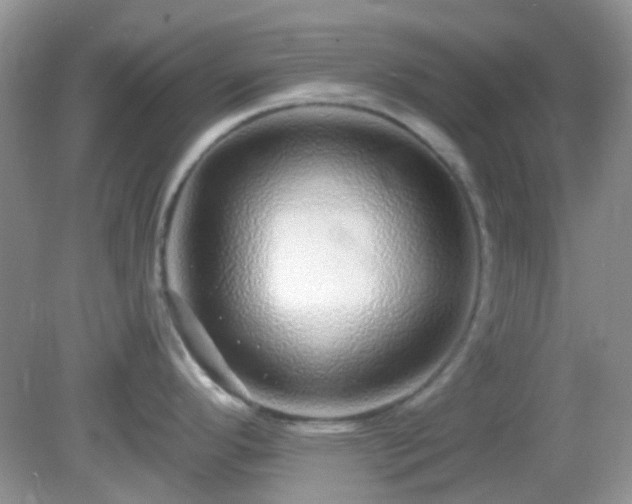 X0000082161296200701262324