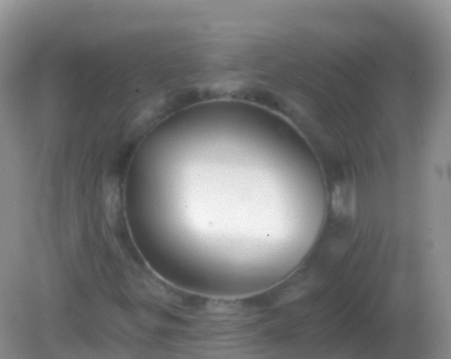 X0000082161299200701262324