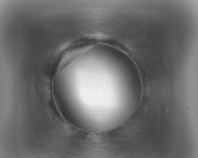 X0000082161301200701262324