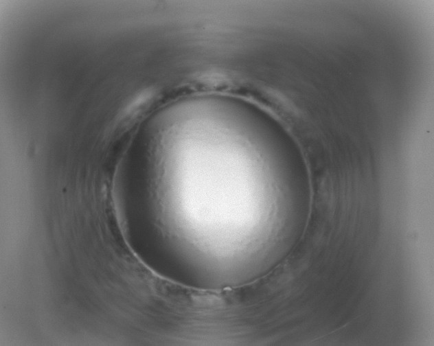 X0000082161302200701262324