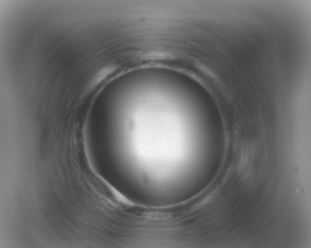 X0000082161305200701262324
