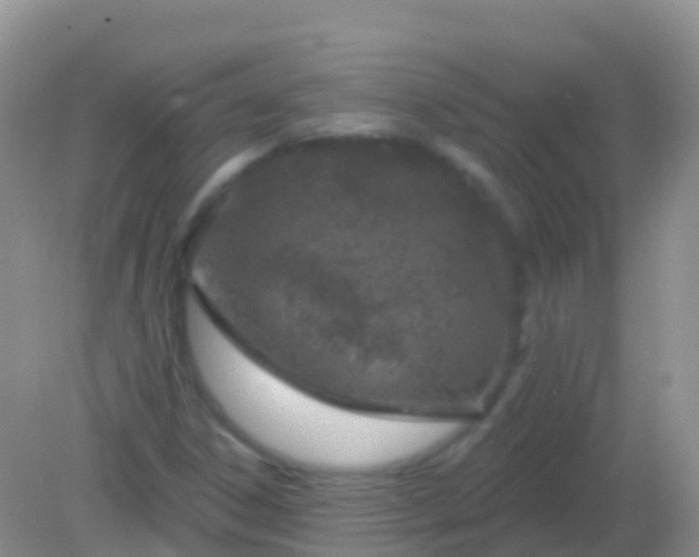 X0000082161306200701262324